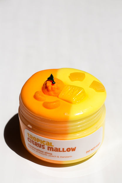Tropical Citrus Mallow Slime
