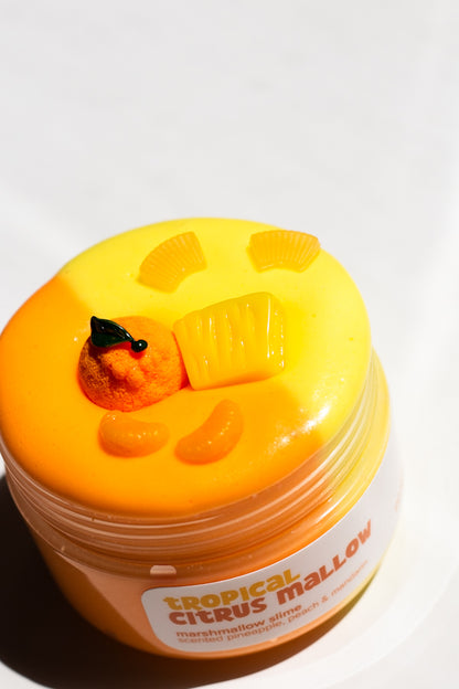 Tropical Citrus Mallow Slime
